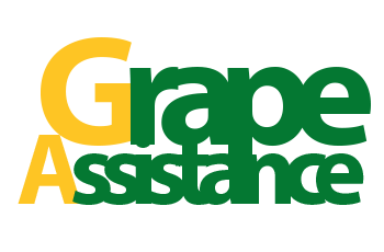 Logo Grape Assistance