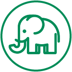 Elephant zoo icon
