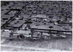 click here! click here!