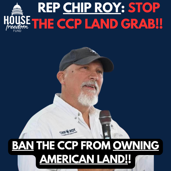 HFF Chip China Graphic