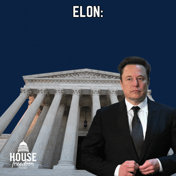 HFF Elon Judge Graphic
