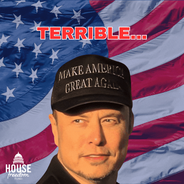 HFF Elon Graphic