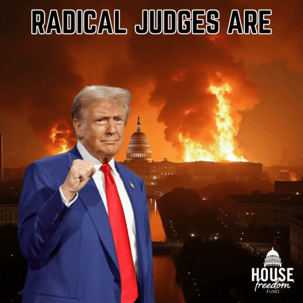 HFF Trump Judges