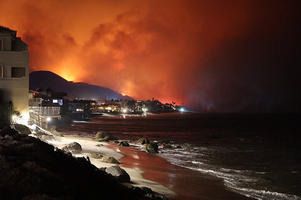 ICYMI: LA wildfires arson suspect entered US illegally
