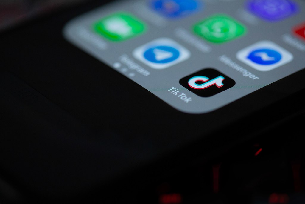 Federal Court to Determine TikTok's Future in the U.S.