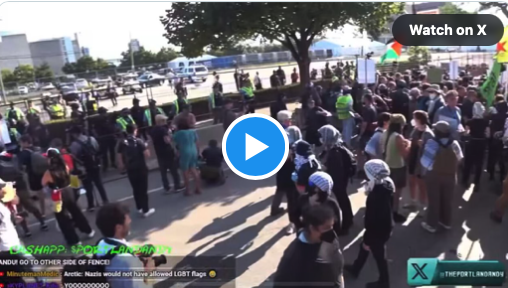 BREAKING: Far-left agitators BREACH DNC perimeter in Chicago, clash with riot police