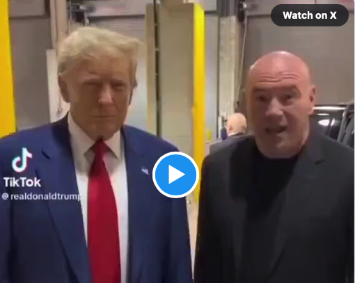 Biden Tries to Embarrass Trump on TikTok, Is Quickly Decimated by Harsh Reality