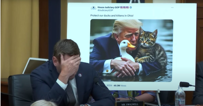 Chinese Spy Lover Eric Swalwell Has a Complete Meltdown on the House Hearing Over Trump Cat Memes
