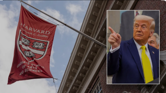 Harvard president apologizes after scathing report on campus anti-Jewish, anti-Muslim discrimination