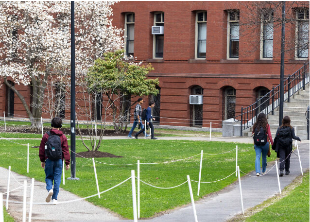 Globalist Harvard Claims ‘Devastating’ Damage from Visa Cutoff