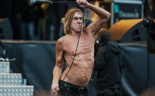 am of the Day: Real Wild Child by Iggy Pop