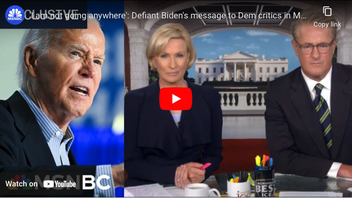 Lackluster's Last Stand: Biden Fights Against His Own Party's Elite ''Deep State''