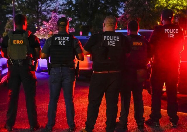 New York’s Mary Rosado Latest Judge with Democrat Activist Resume to Halt Trump Agenda