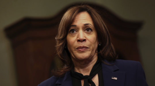 Kamala Harris gets slammed on X after messing up the Pledge of Allegiance