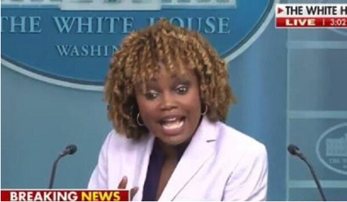 Watch: Chaos Erupts During White House Press Briefing Over Biden-Parkinson's Questions