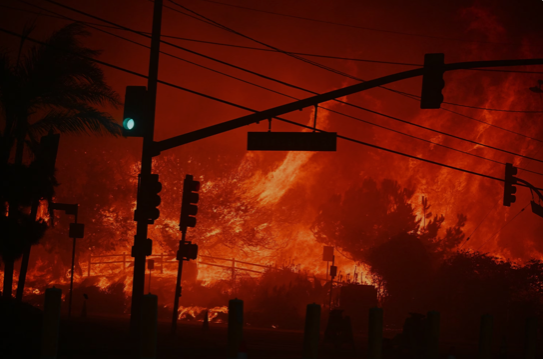 Hollywood Hell: Los Angeles fire chief admits city was unprepared for scale of blaze