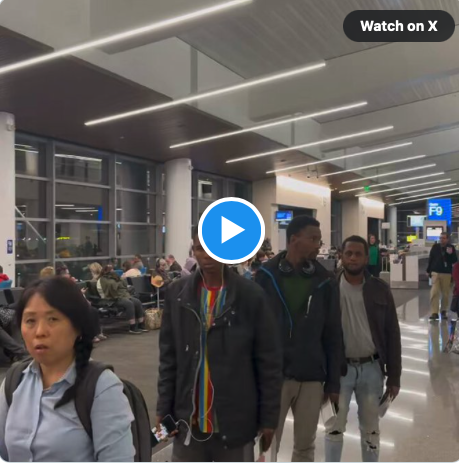 ''Public Has A Right To Know'' - O'Keefe Exposes Bussing Of Migrants Direct From Border To Phoenix Airport