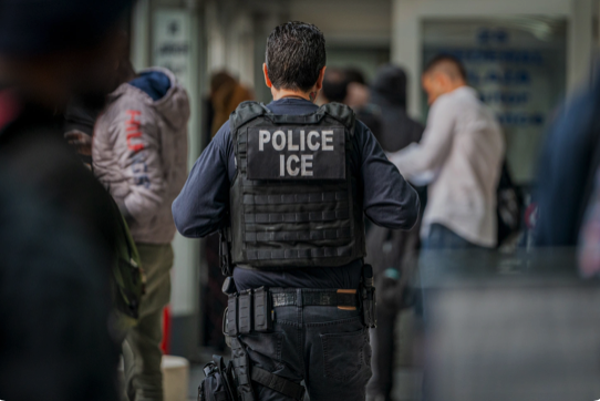 Border Czar Homan: ICE Deportation Operations Have Begun