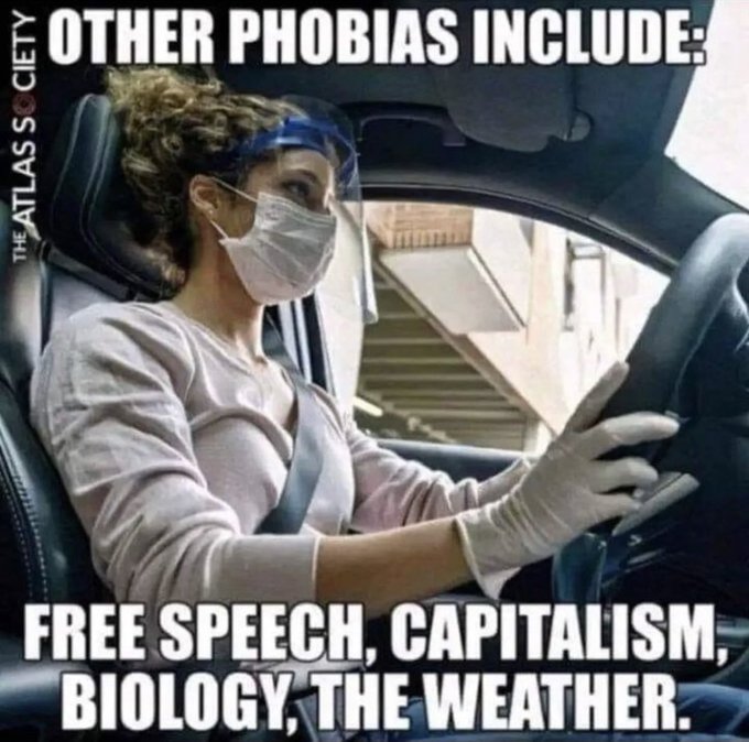 It's an election year again!