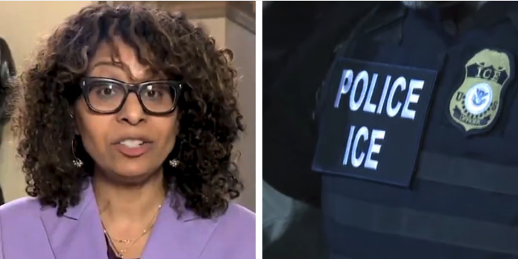 CA Dem Rep compares Trump's immigration policy to 'domestic terrorism'