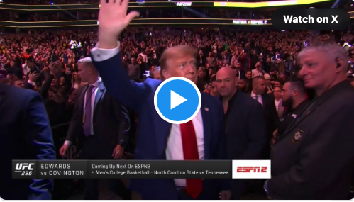 Trump welcomed with thunderous applause at UFC