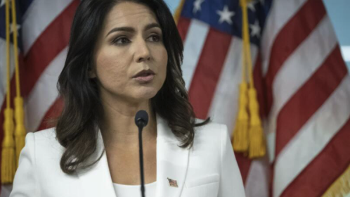 Federal Air Marshal Whistleblowers Report Tulsi Gabbard Actively Under Surveillance Via Quiet Skies Program