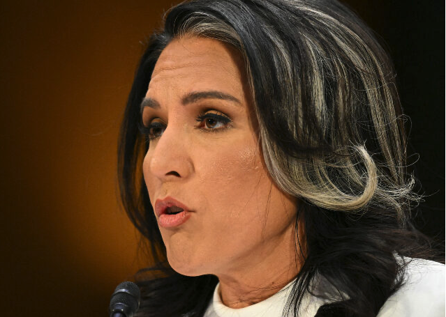 DNI Nominee Tulsi Gabbard Lays Out Weaponization of Biden Admin: Trust Is at an ‘All-Time Low’