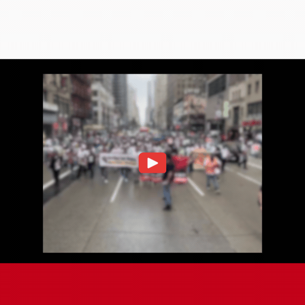 NYC Illegals Graphic