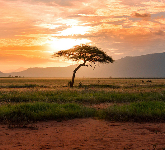 Kenya