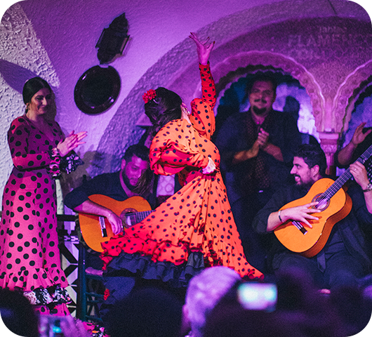 Granada Flamenco Show