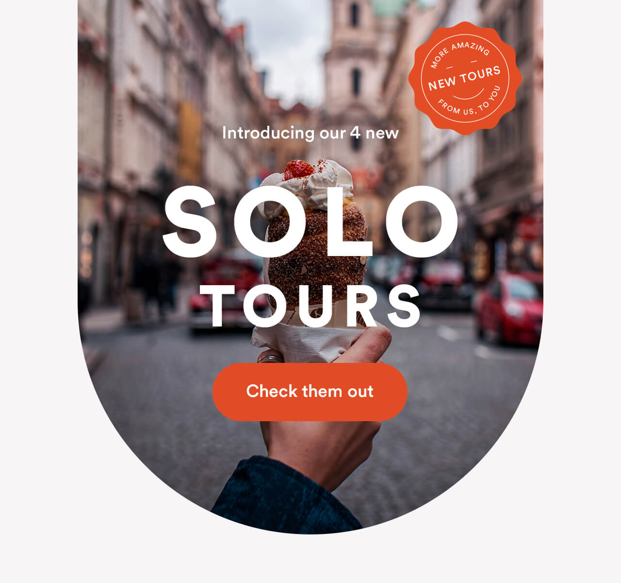 New India Tours
