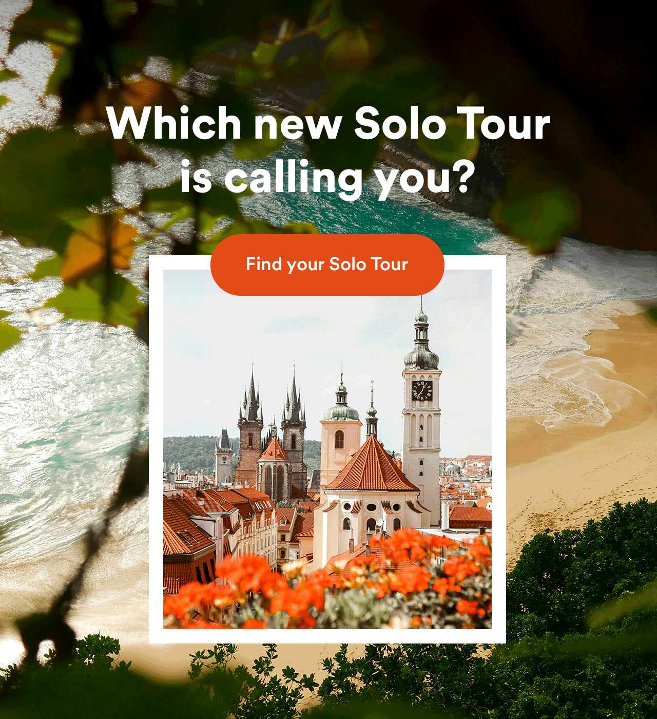 New India Tours