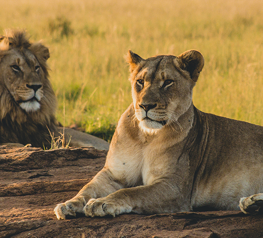 South Africa