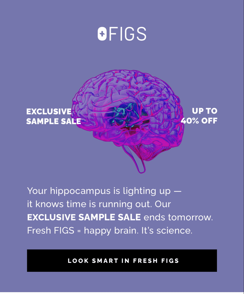 Your hippocampus is lighting up — it knows time is running out. 