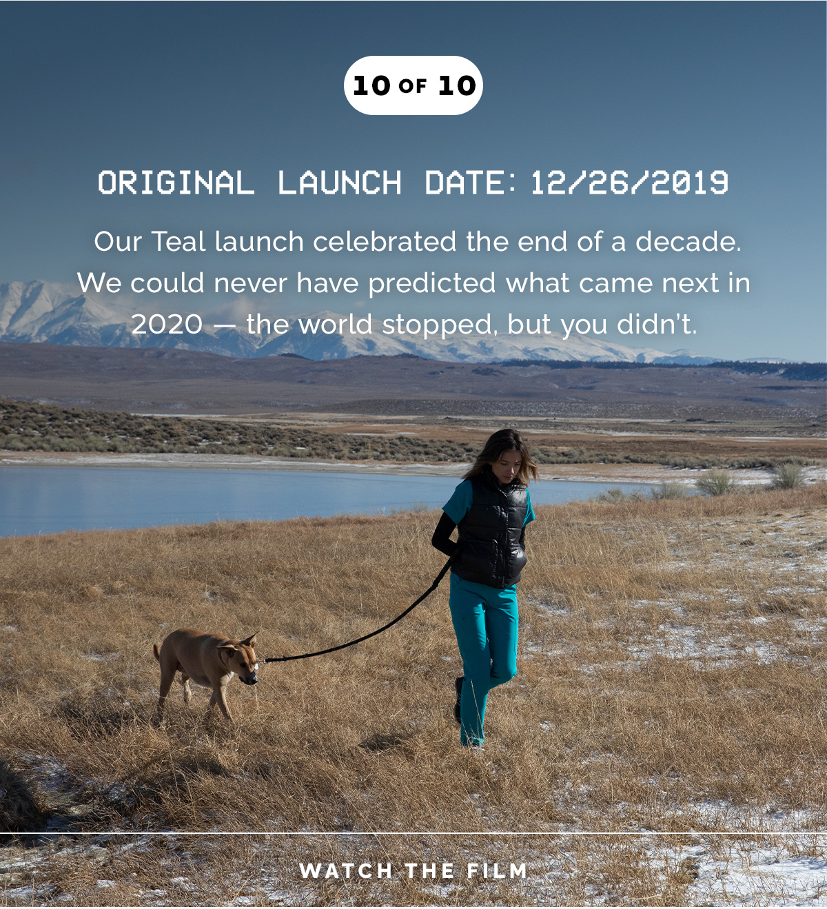 FIGS10 The Final Iconic Color Returns Figs