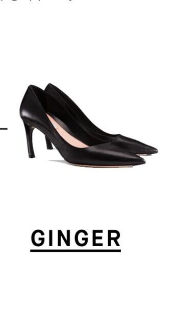 Ginger pump