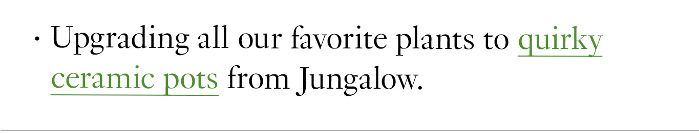 Upgrading all our favorite plants to quirky ceramic pots from Jungalow.
