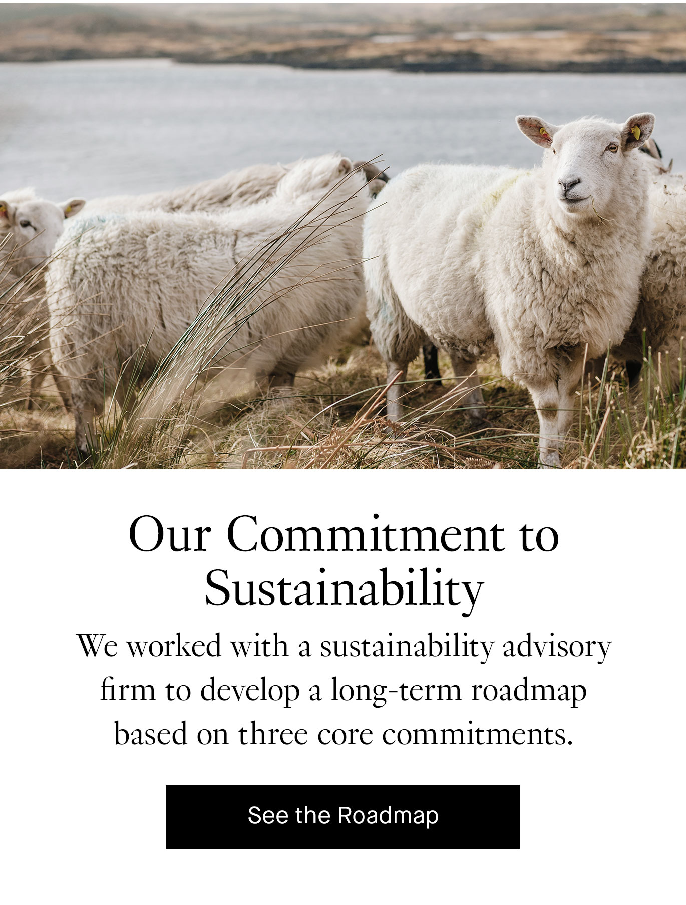 Our Commitment to Sustainability. We worked with a sustainability advisory firm to develop a long-term roadmap based on three core commitments. See the Roadmap.