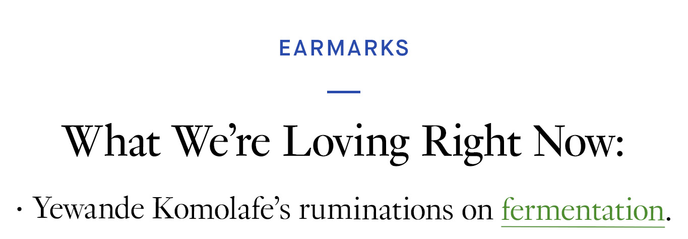 What We’re Loving Right Now: Yewande Komolafe’s ruminations on fermentation.