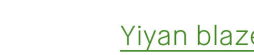 Yiyan blazer