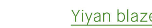 Yiyan blazer