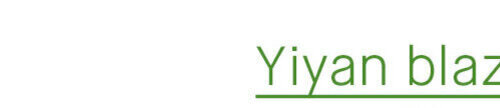 Yiyan blazer