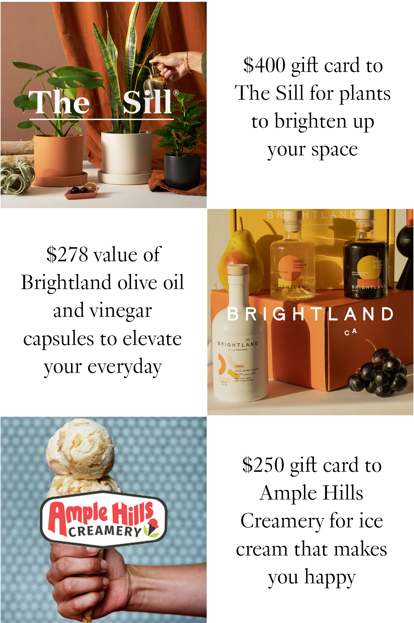 An image of The Sill logo with text, ''$400 gift card to The Sill for plants to brighten up your space.'' Below that, the Brightland logo with text, ''$278 value of Brightland olive oil and vinegar capsules to elevate your everyday.'' Below that, the Ample Hills Creamery logo with text, ''$250 gift card to Ample Hills Creamery for ice cream that makes you happy.''