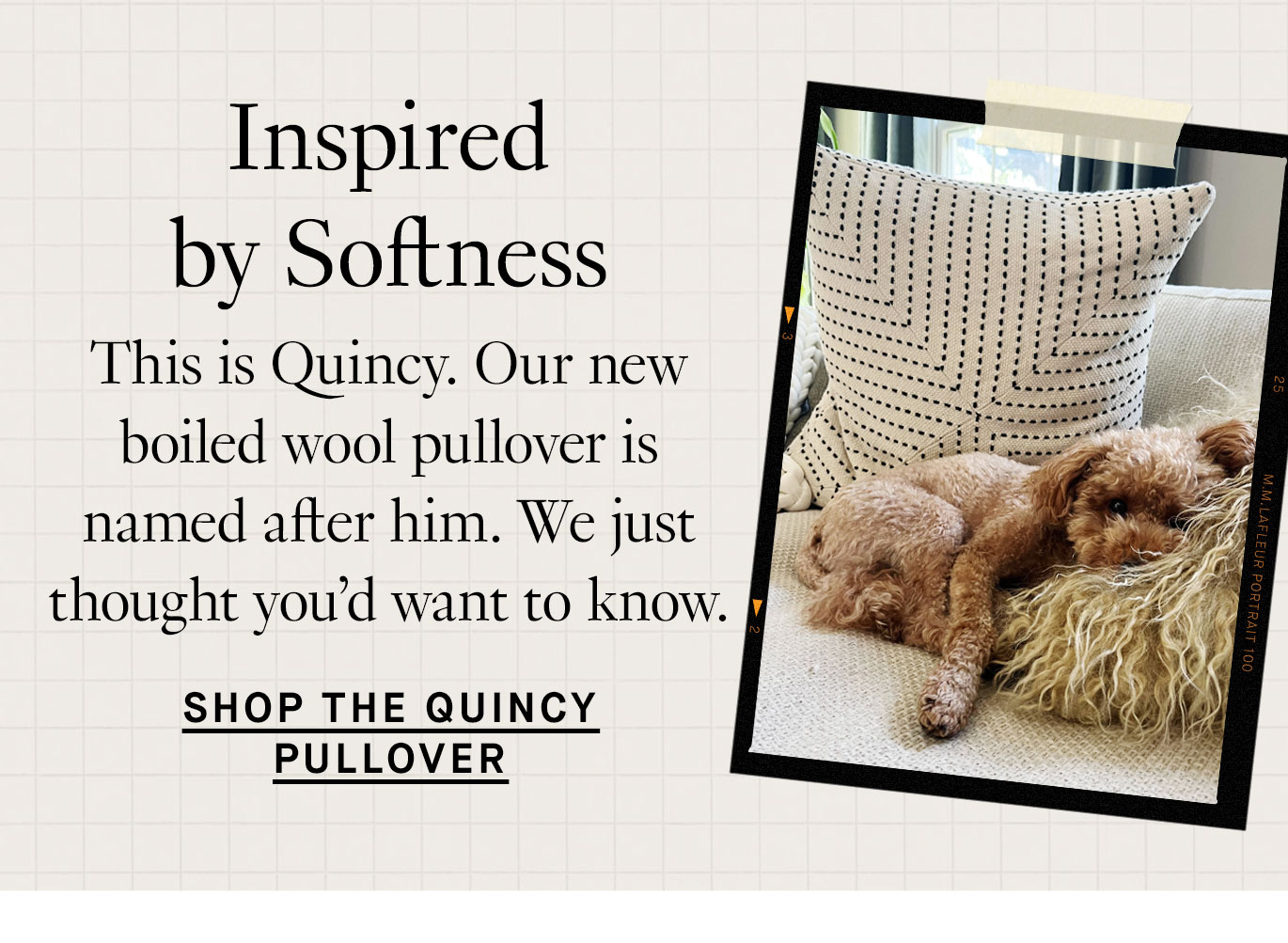 Inspired by Softness. This is Quincy. Our new boiled wool pullover is named after him. We just thought you’d want to know. Shop the Quincy Pullover.