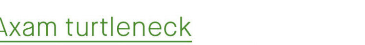 Axam turtleneck