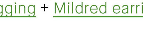 Mildred earring