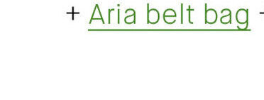 Aria belt bag