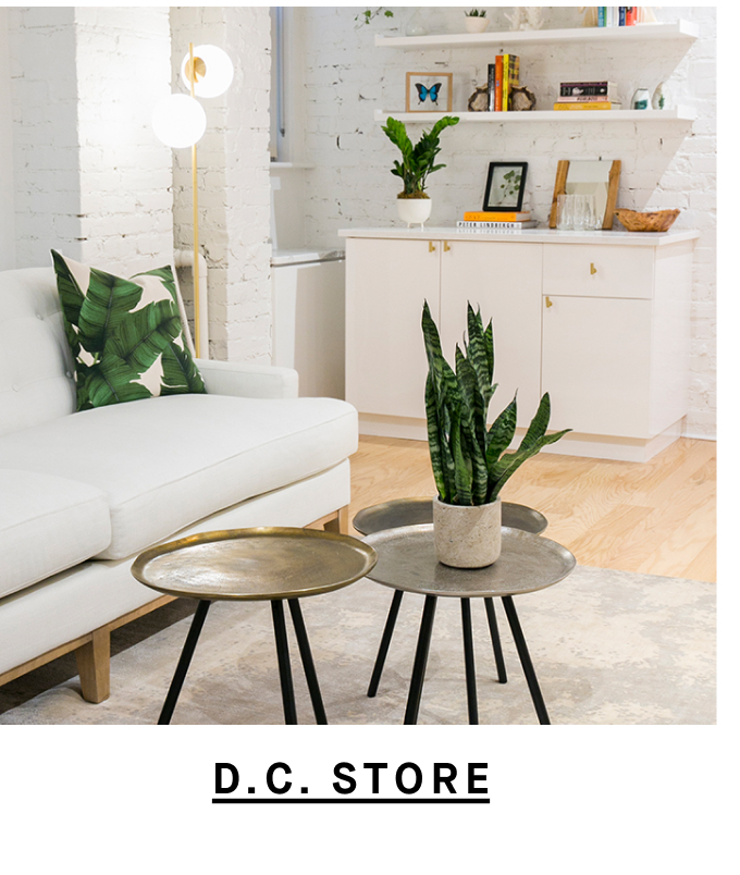 D.C. Store.