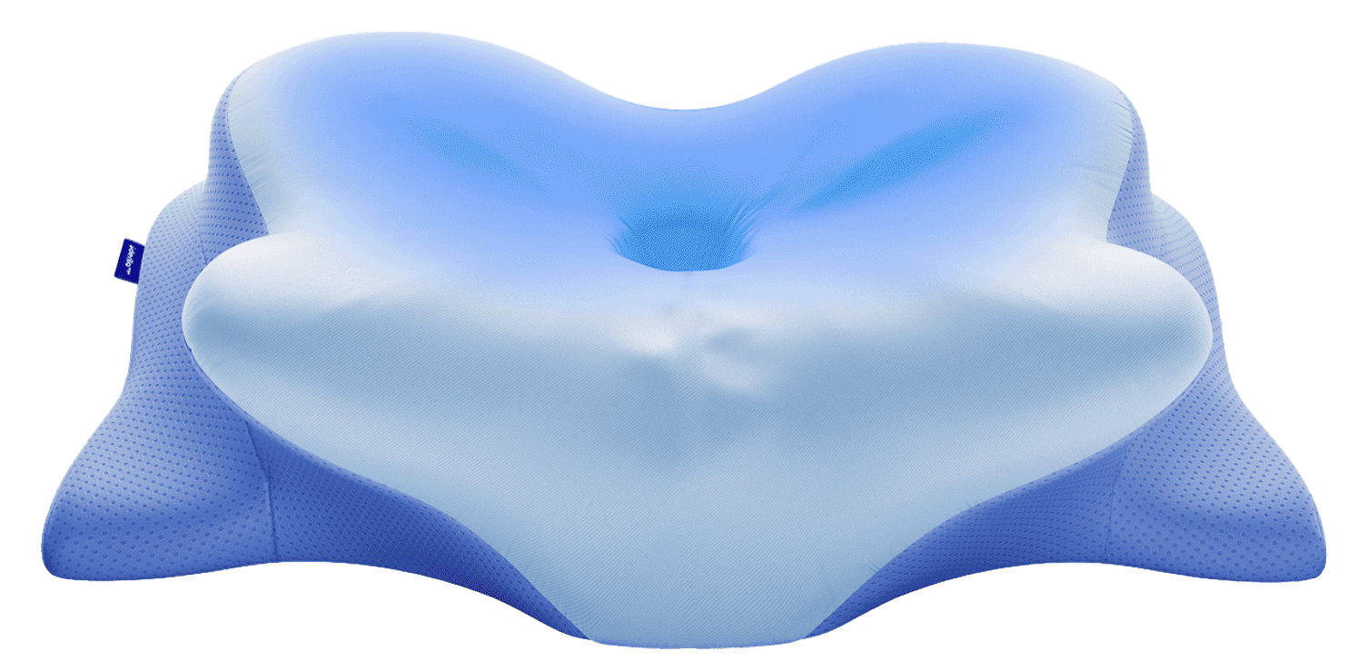 Derila Ergo Pillow