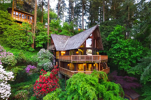 Wood home surrounded by forest